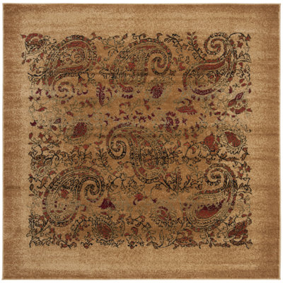 Klose Performance Paisley Rug