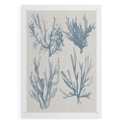 Collection Sea Coral II - Impression sur toile seulement - NON-CADRE