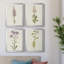 Mauve Garden Flowers I - Ensemble de 4 peintures sur toile encadrées-762143488-762143515