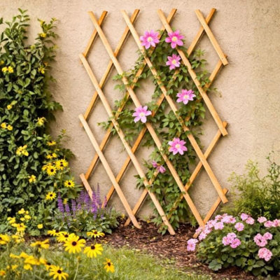 183cm H Wood Expanding Trellis