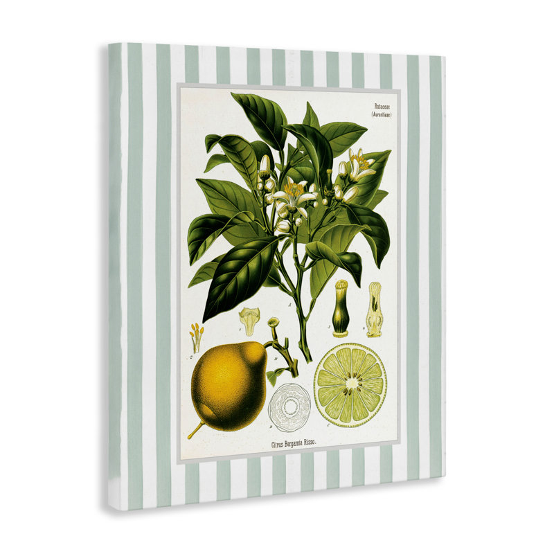 Toile à rayures vertes Lemon Plant, design par Lettré et doublé, H 20 po x l 16 po