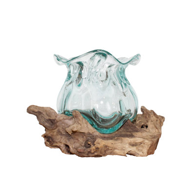 Terrarium de lotus