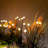 OUTDOOR LIGHTING-104561156
