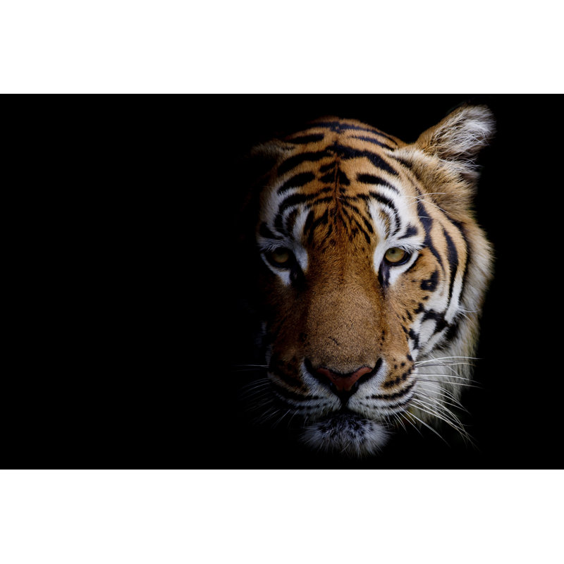 Tiger by Peerajit - Wrapped Canvas Print, 20cm H x 30cm W
