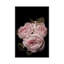«Antique Rose», impression sur toile-699977820-739637413-739637418