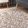 Anthonyville Oriental Indoor Rug