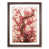 Walnut Framed