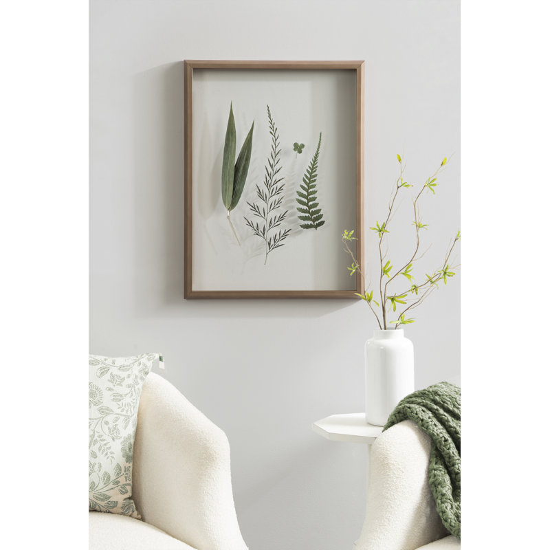 «Natural Charm Pressed Botanticals 2» par Stephanie Klatt, art mural encadré en verre