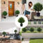 Cèdre artificiel - 2 plantes artificielles, taillées à la main, résistantes aux rayons UV, nécessitant peu d'entretien, convenant à une décoration intérieure et extérieure (19,6 pouces)