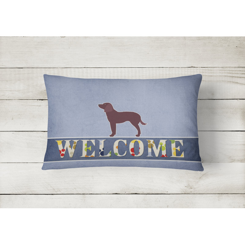  Coussin American Water Spaniel