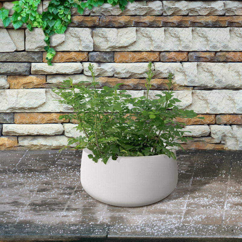 Pot à fleurs en béton Dovenby, H 10 po x l 20 po x P 20 po, Blanc pur
