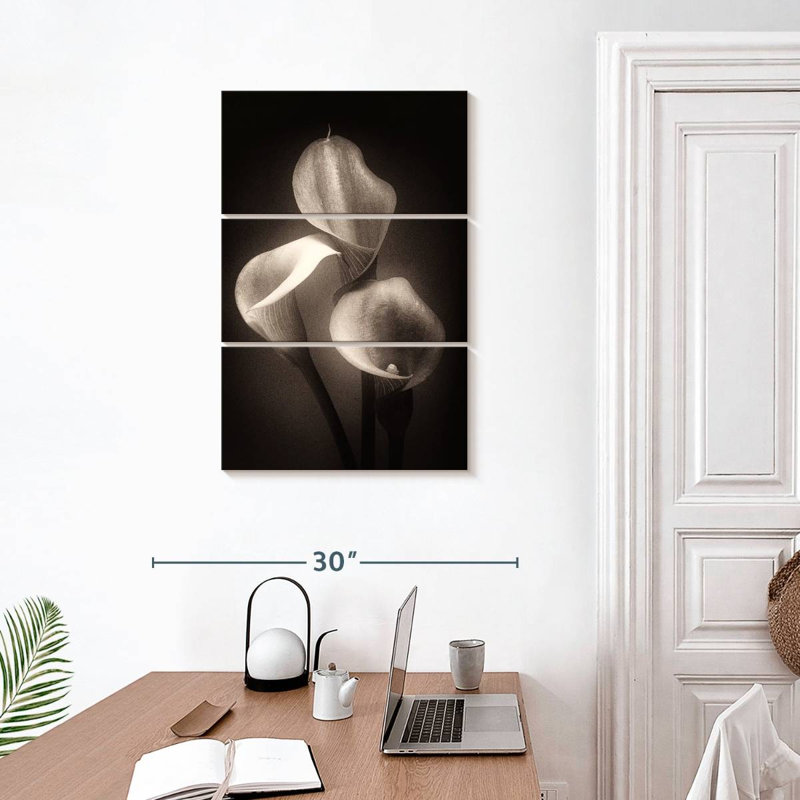 Calla Lilly Sepia, H 32" x l 20"