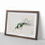 Eastern Turtle Dove by Numata Kashu - Picture Frame Painting Print-55732563-55732569