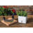 Cole & Mason Self Watering Fresh Herb Keeper Plastic Pot Planter