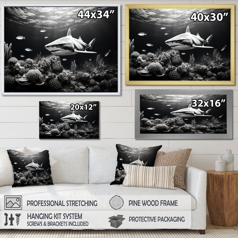 Requin noir et blanc glissant sur toile, Cadre photo noir simple, H 12 po x l 20 po x P 1 po