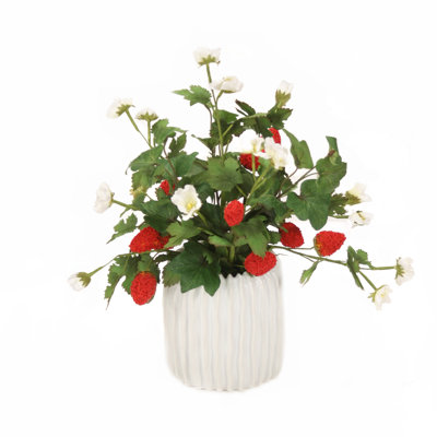 Arrangement floral fraises et lierre Hedera en pot