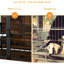 Cage d'intérieur robuste pour chien de 41 po avec cage à mâcher et installation d'alimentation-55058263