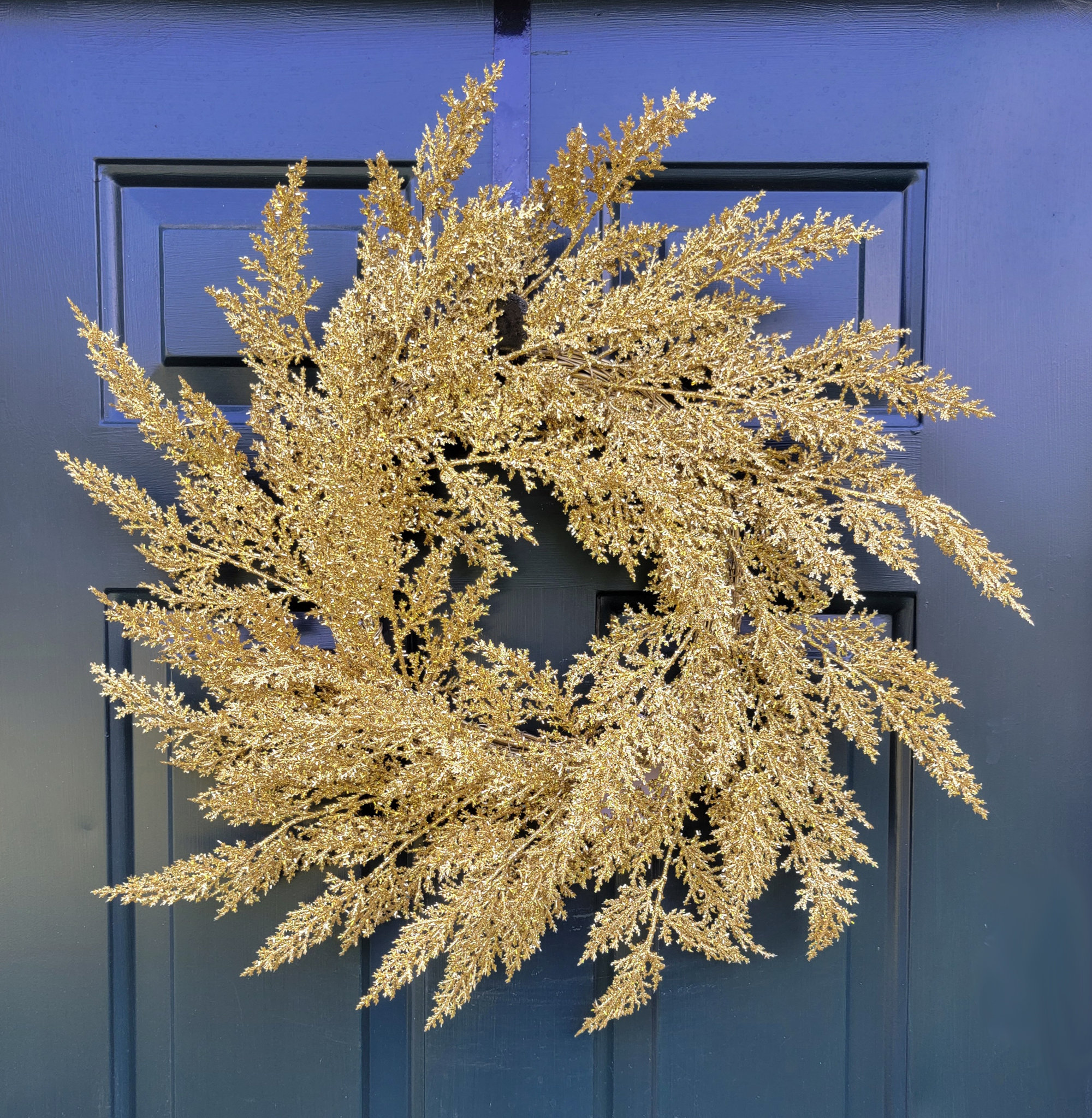 The Holiday Aisle® Artificial Asparagus Fern Wreath 22