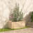 Rowhn Wood Pot Planter-131649921-131649923