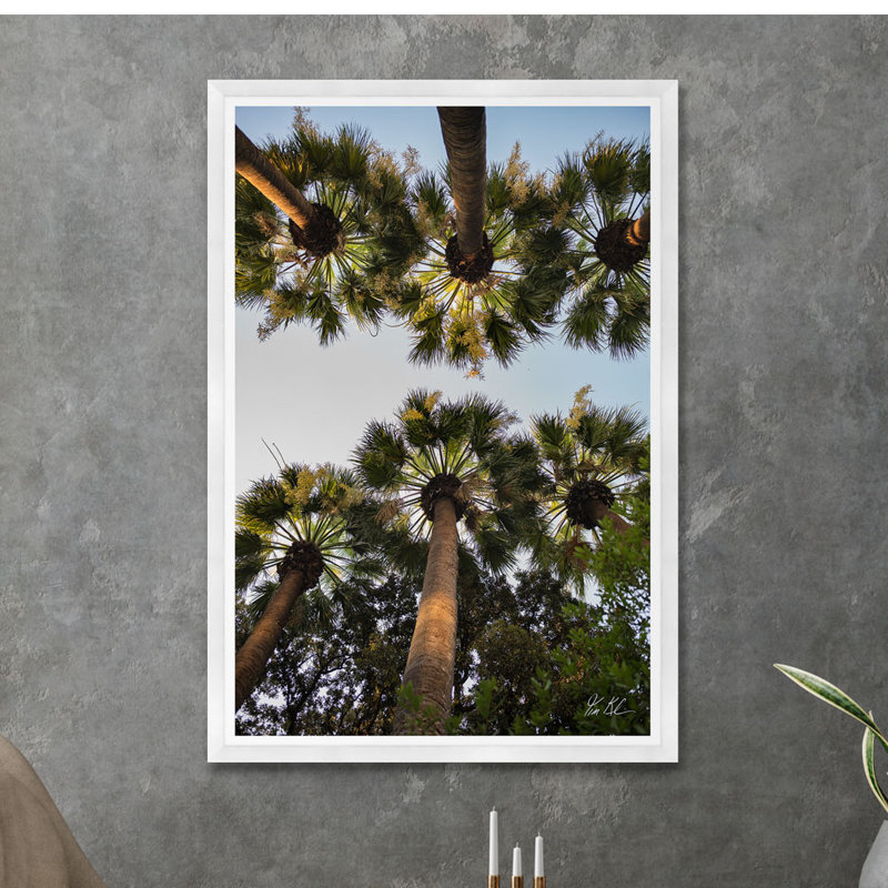 Athènes Palm II, 72" H x 48" W x 0.25" D, Éclat de photo sans cadre, Ne s’applique pas