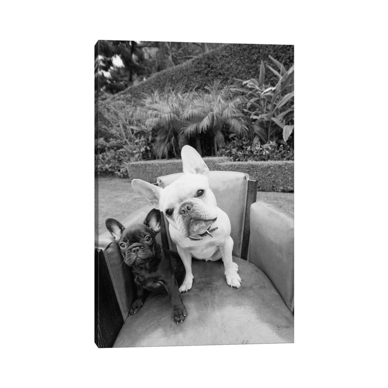 Always Friends by Jim Dratfield - Wrapped Canvas Print, 30.48 cm H x 45.72 cm W