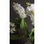 Faux lavande mauve lilas 22 pouces-236684328