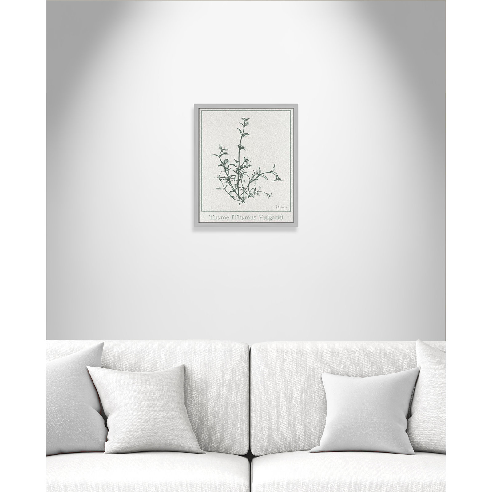 Jeanette "Thymus Vulgaris" Print, Matte Silver Framed Paper, 19" H x 16" W x 1.25" D