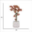 50,57 po H plante de bonsaï Real-touch-97779137