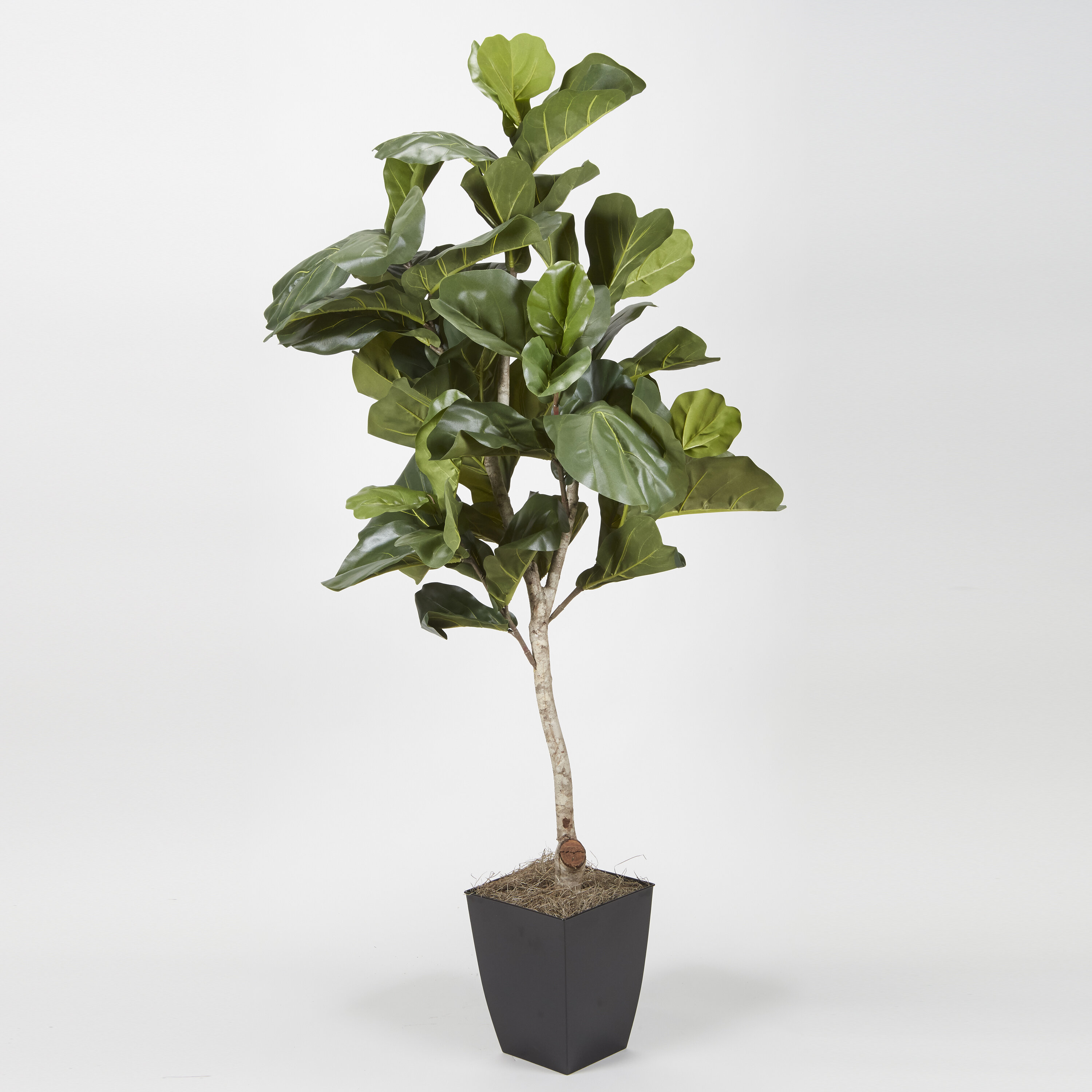 Primrue 78'' Faux Fiddle Leaf Fig Tree In Metal Planter 