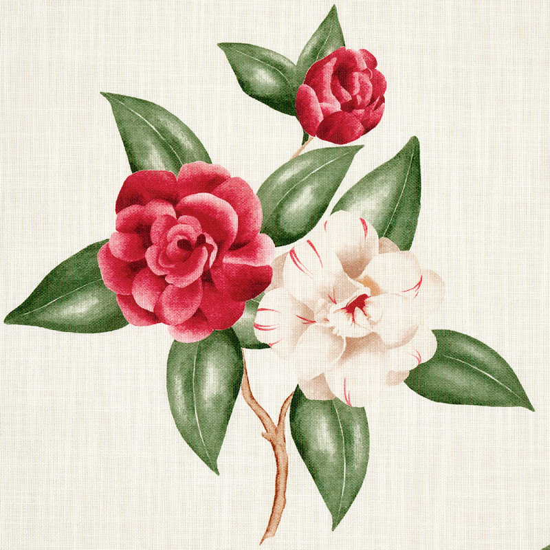 Casablanca Floral Indoor/Outdoor Fabric, Garnet