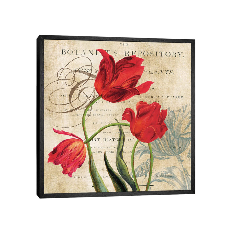 Botanist's Repository by Carol Robinson - Print on Canvas, Black Framed, 45.72 cm H x 45.72 cm W x 3.175 cm D