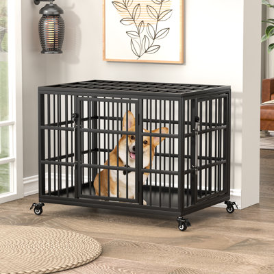  Cage pour chien robuste de 30 pouces pour chiens de taille moyenne et de petite taille avec loquet autobloquant, chenil en acier à l'épreuve des fuites