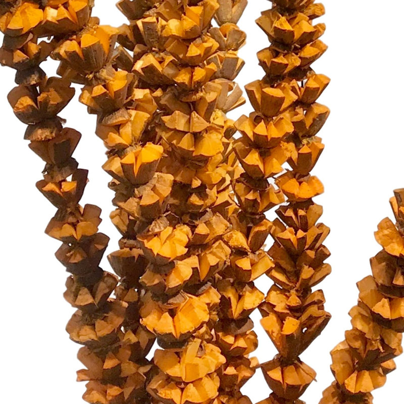 Bouquet de fleurs artificielles Primrue Ting Bakuli, Tangerine / caramel