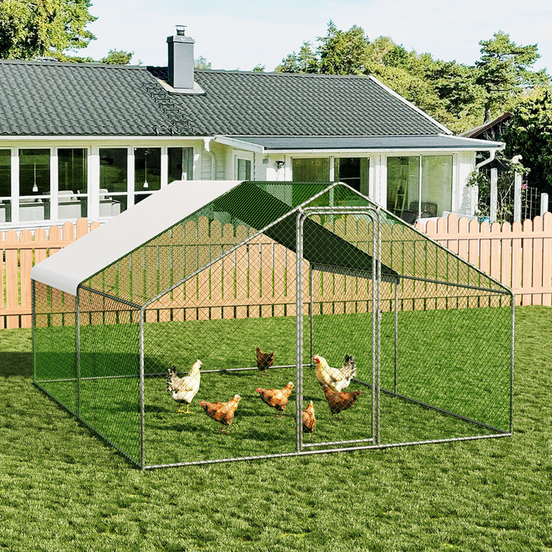 7.82m² Chicken Coop