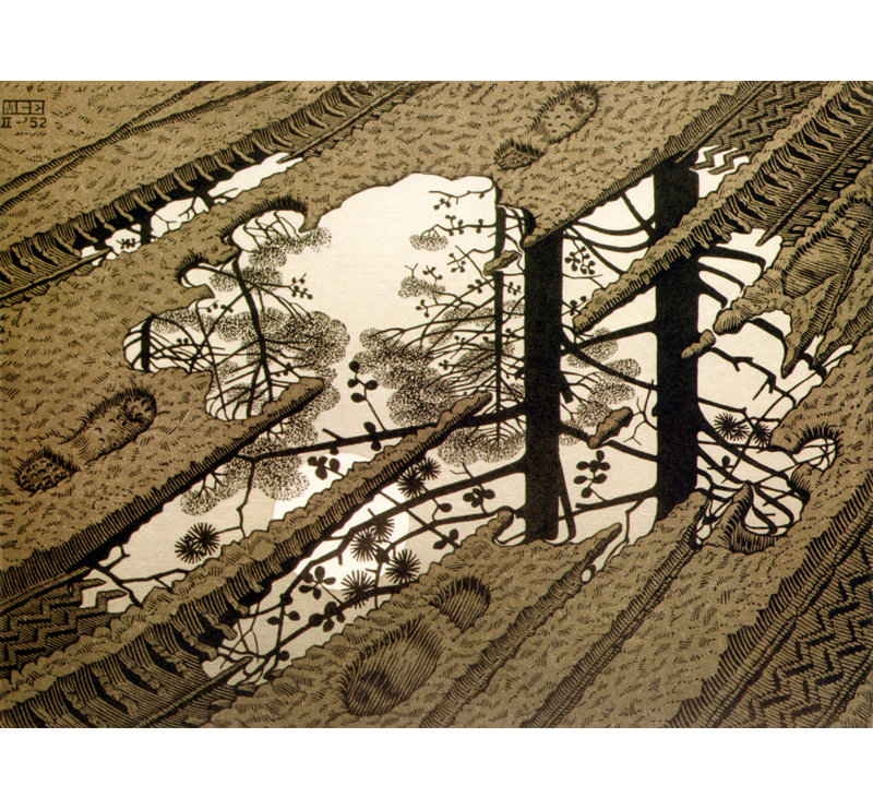 Toile tendue Puddle par M.C.Escher Gallery, H 17 po x l 24 po