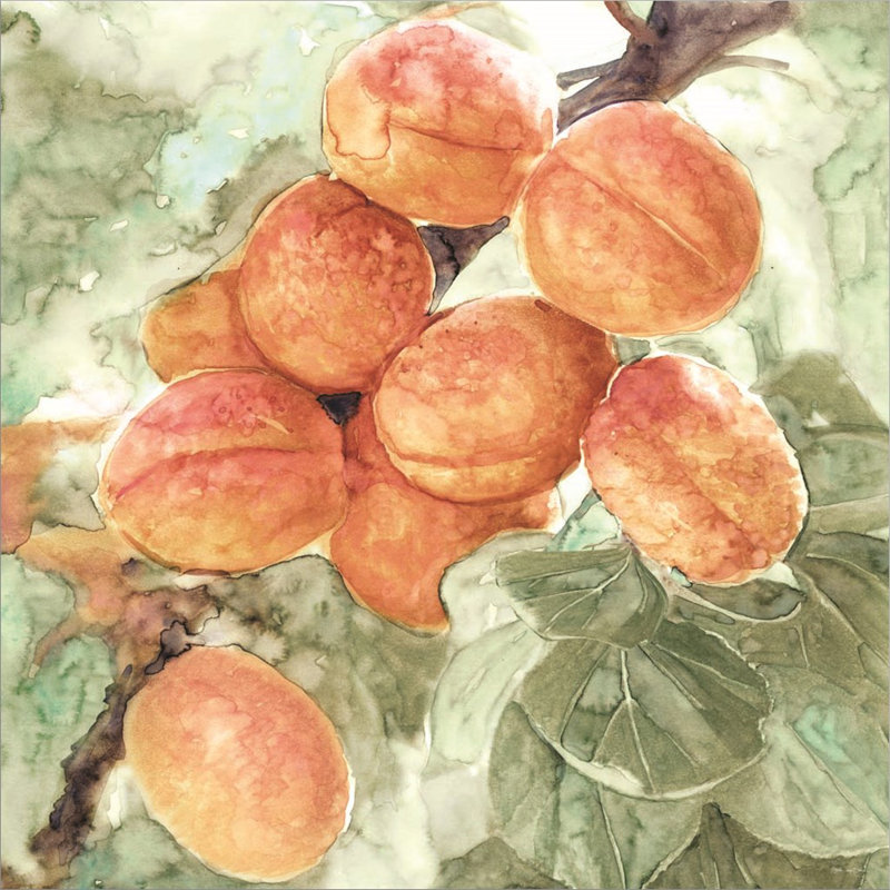 «Peach Branch» par Stellar Design Studio, art mural sur toile