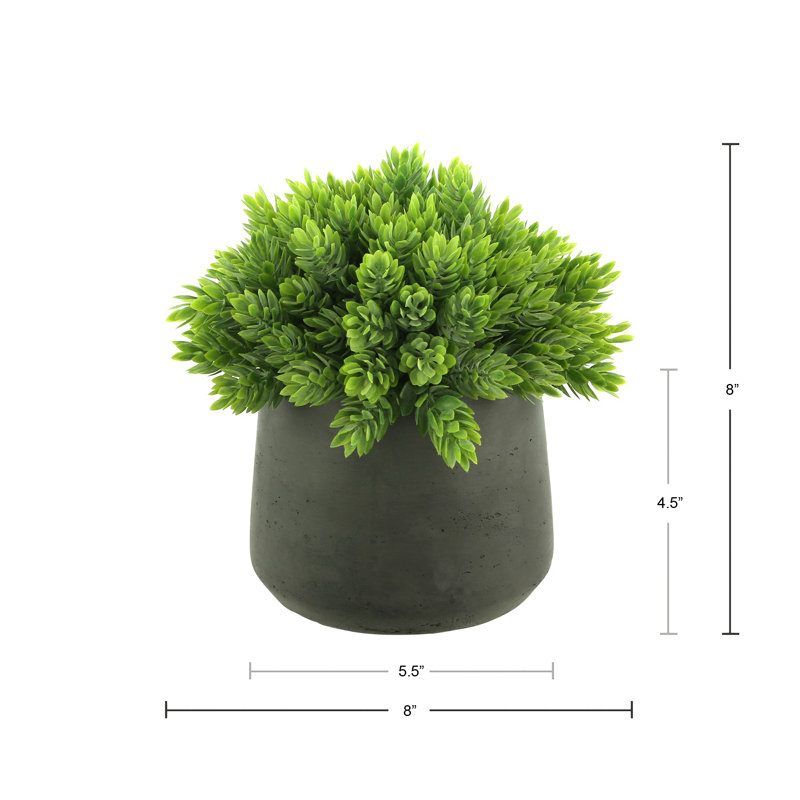 Faux Succulent in Fiberstone Pot, Black