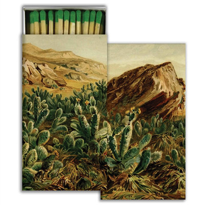 Matches - Cactus figue de barbarie