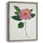 PressedCamelliaI Framed Print - Solid Wood-1925931423