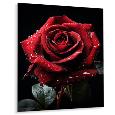 " Red Black Rose Elegance I "