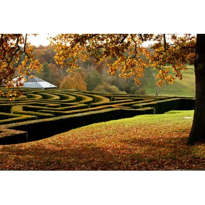Looking Over The Corner Of A Garden Maze - Wrapped Canvas Print