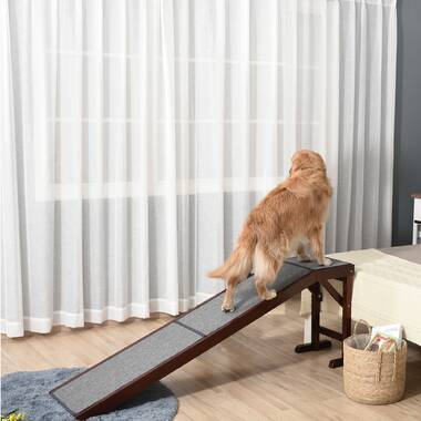 Tucker Murphy Pet™ Rampe pour animal de compagnie 72 po