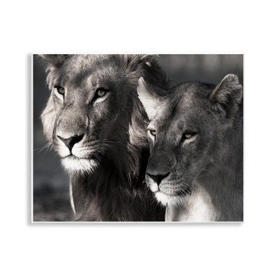 Strong Lion & Lioness Wall Plaque Art by Danita Delimont