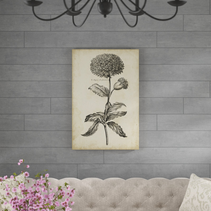 Singular Beauty II by Vision Studio - Print on Canvas, 91cm H x 61cm W, Wrapped Canvas