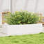 2 Outdoor Planter-100491942-100491950