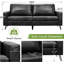 Chione 3 Seater Loveseat-675920539
