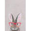 Hare With Red Glasses - Wrapped Canvas Print-826734365
