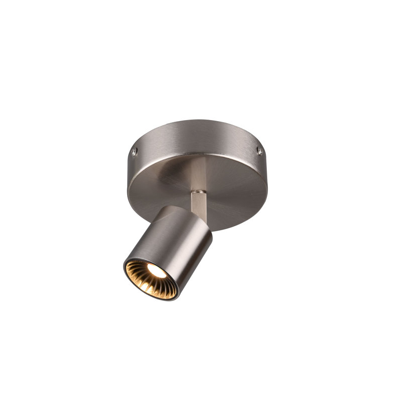 1 lumière del simple à del de 4,8 po Wildhollow, Nickel satiné