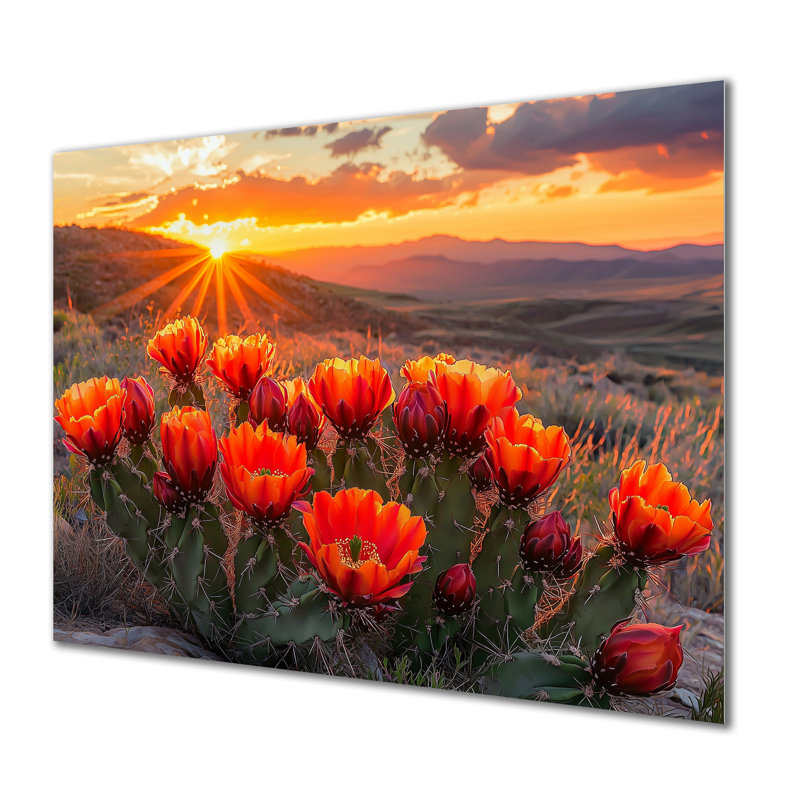 «Blooming Cacti At Sunset II», reproduction d'art traditionnelle en métal, art mural en métal Cactus, H 12 po x l 20 po