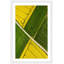 Single Picture Frame Print-216678905